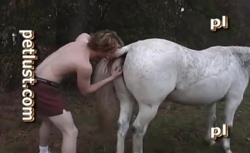 ����� �������. ��� ��������� ������� � �����������