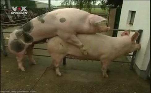 ����� �������. �������� � ������ � ����� �����