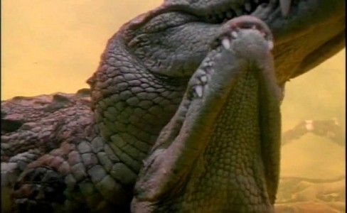 ����� �������. ��� �� �������� Halloween