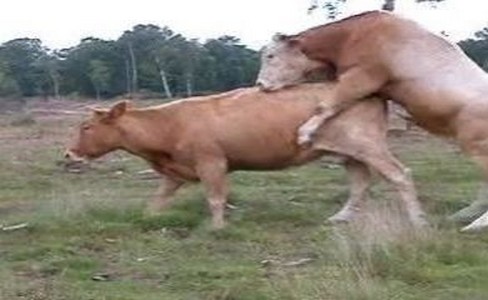 ����� �������. �������� ����� � ����� � ���