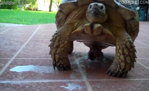 ����� �������. ������� ���������������: ���� � �����