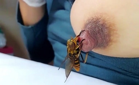 ����� �������. ������� �� ����� �����