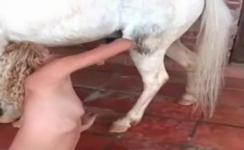 ����� �������. 7 ����� � ��������� ������