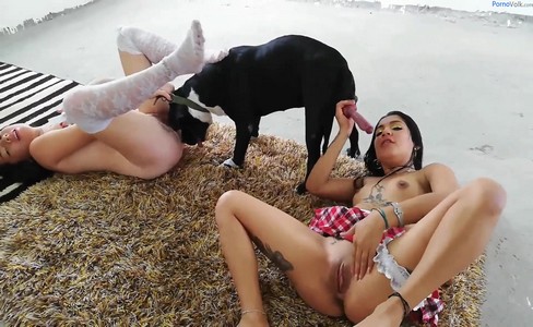 ����� �������. ����� ������� � �����