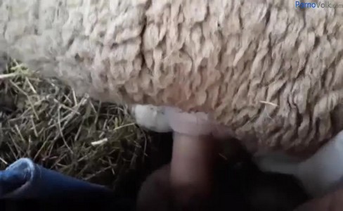 ����� �������. ��� ����� ���������� �������� � ������