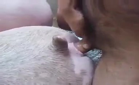 ����� �������. ������������� ���� � ����� ��� ��������� � ��������