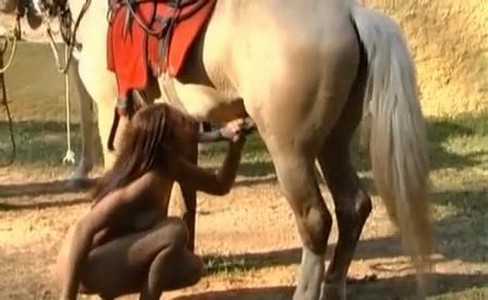 ����� �������. ��� ����������� � ����������� � ���������� ����� �����������