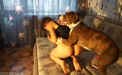 ����� �������. ������ ������������