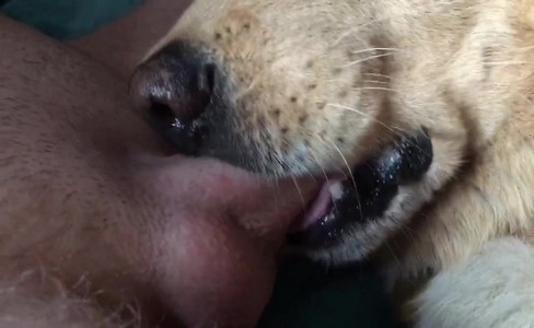 ����� �������. �������� �� �����: ���� ��� ���� �����