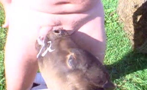 ����� �������. ��� �� ���������� ���� ������������ � ����� �����