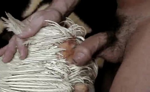 ����� �������. ����������� ��� ����