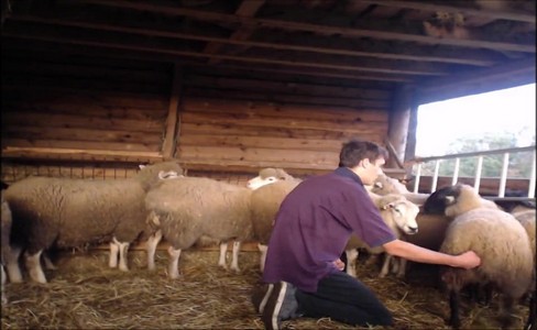 ����� �������. �������� �������