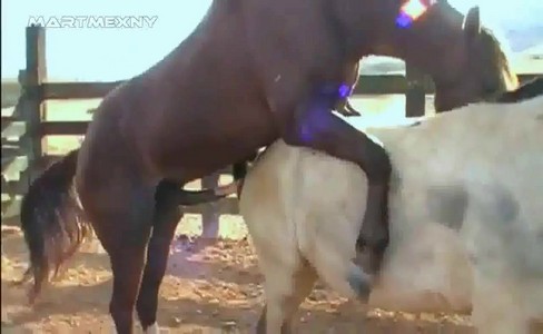 ����� �������. ������� ������: ��� ���� � ����� ����� ���� ��������