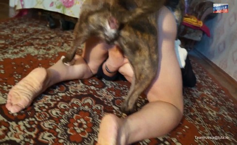 ����� �������. ����������� �� ����: ���� �� ������� � ���������