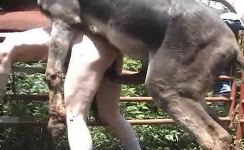 ����� �������. ��� ������� ������ ������� � ���������� � ���������