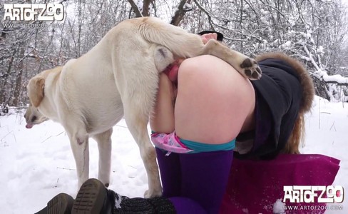 ����� �������. ������� ���������� �����