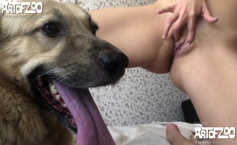 ����� �������. ����� �� ����: ��� ���������� ������ � �����������