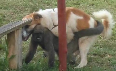 ����� �������. ��� �� �������� ���� ���� � ����� �����