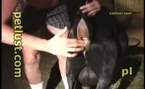 ����� �������. ���� ����� � ����� ������� ��������: ��� ���� ������� ���� ��� �����