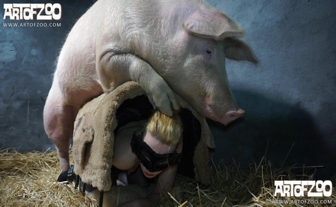 ����� �������. �������� �����������