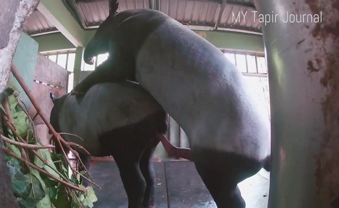 ����� �������. ����� �� ����: �� �������� �� �����������