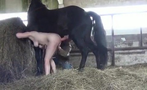 ����� �������. ������� �� �������: ��� �� ���� �������?