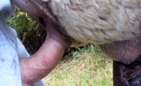 ����� �������. ��� ���� � ����� ����� ����� ������� ��������