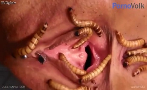 ����� �������. ��� �������� ��� ������