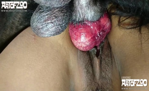 ����� �������. ��� �������� �� � �������������