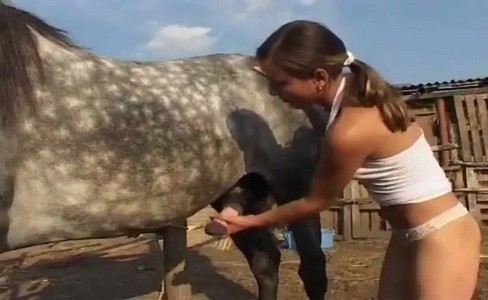 ����� �������. ��� ������������ �������� ������