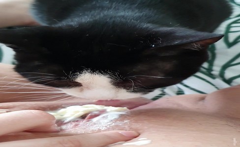 ����� �������. ������ � ��������� � �������� �������