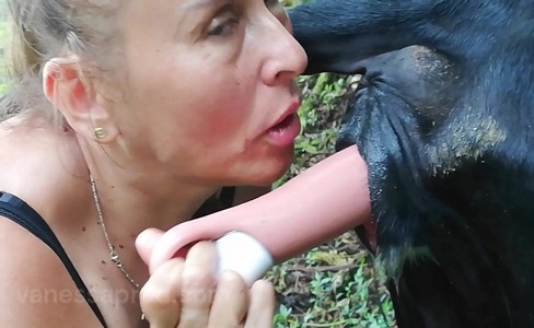 ����� �������. ���, ������ � �������