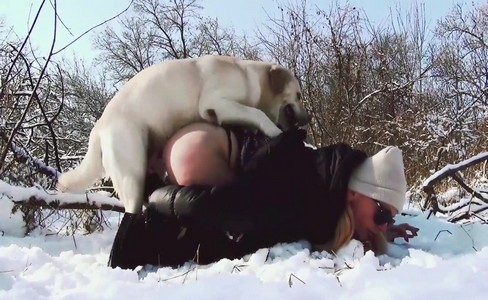 ����� �������. ����� ��� ����: ����� ������ �������� �����������