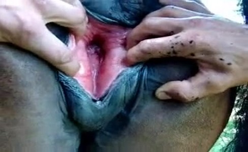 ����� �������. ��������� � ������