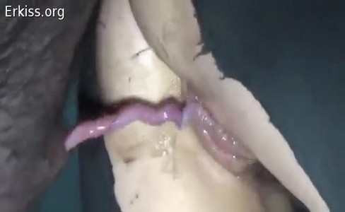 ����� �������. ������ ��������� � ���������: ��� ���� ������� ��������