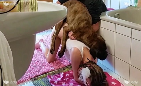 ����� �������. ��� ������������ �������� ����� ����� �������